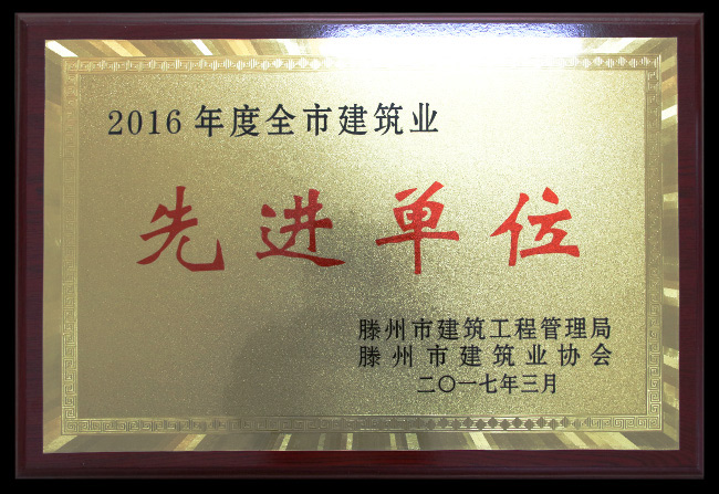 2016年市建筑業(yè)先進(jìn)單位